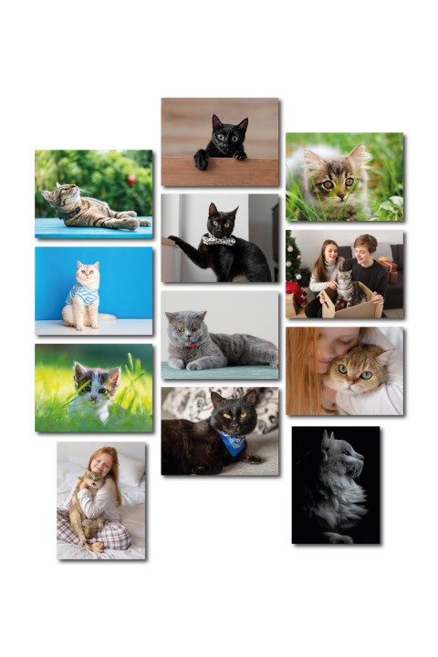 Kişiye Özel Kedi Albümü 13,5 x 18 Cm 12'li Ahşap Tablo Seti Kişiye Özel Kedi Albümü 13,5 x 18 Cm 12'li Ahşap Tablo Seti