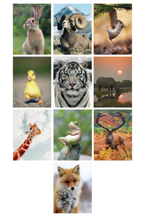 Wild Life 13,5 x 18 Cm 10'lu Ahşap Tablo Seti Wild Life 13,5 x 18 Cm 10'lu Ahşap Tablo Seti